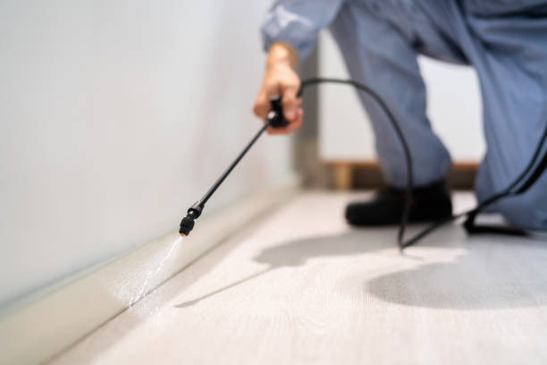 Licensed Pest Control service in Fruita, CO - Show Me Pest Control