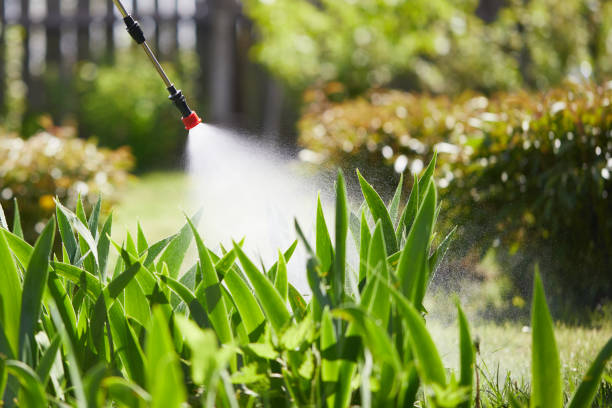 Tamper-Resistant Bait Stations for Rodents in Fruita