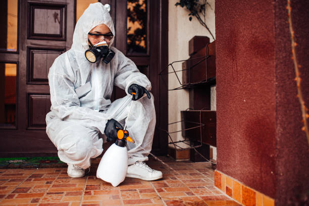Attic and Crawl Space Rodent Treatment in Fruita