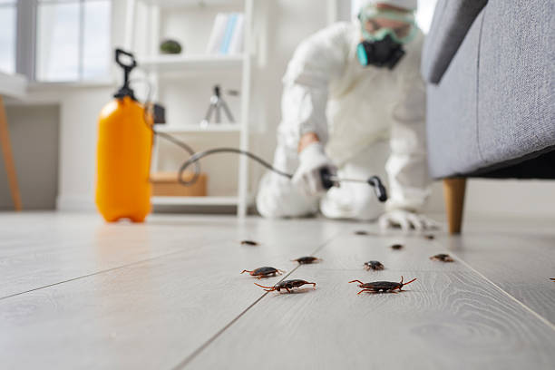 Commercial Rodent Management in Fruita